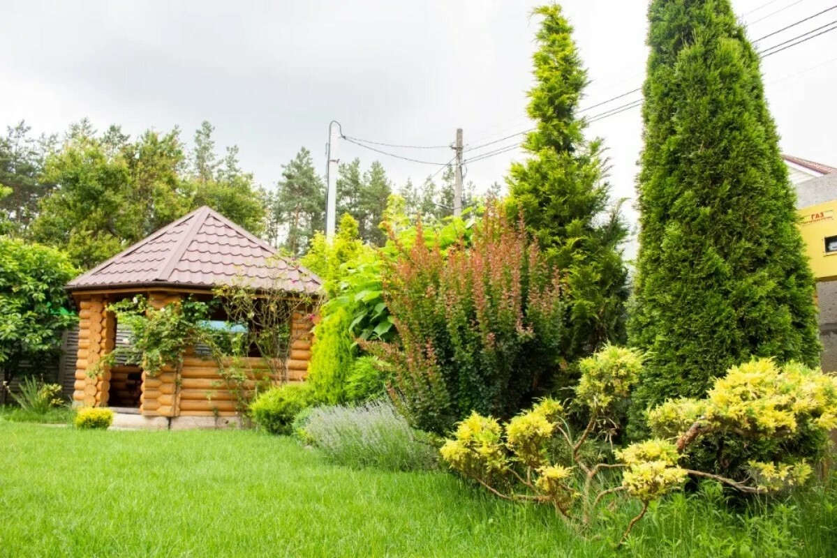 https://nefteyugansk.tgv-stroy.ru/storage/app/uploads/public/637/ef4/fb3/637ef4fb3605f391429275.png